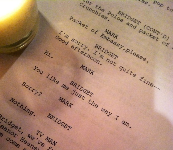 bridget jones party diary