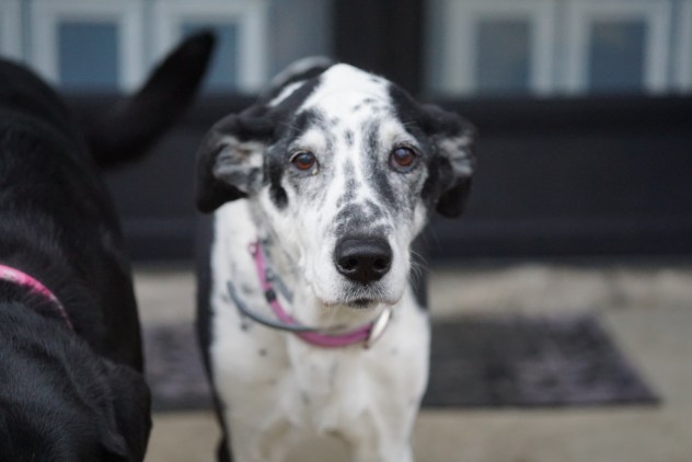 9654E0E1-61E1-42A1-9E8C-A3D6336C006F